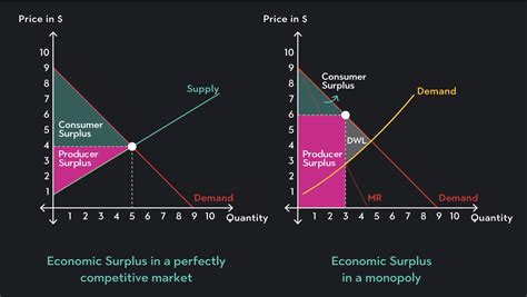 Monopoly Graph Consumer Surplus