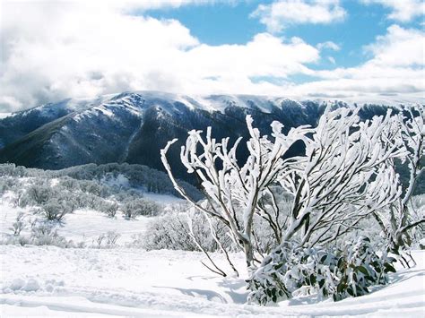 5 Best Ski Resorts In Australia 202324