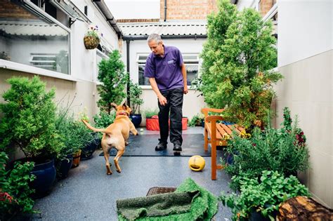 They always have the dog food and treats that i need. How to Create a Sensory Garden for Your Dog | HGTV