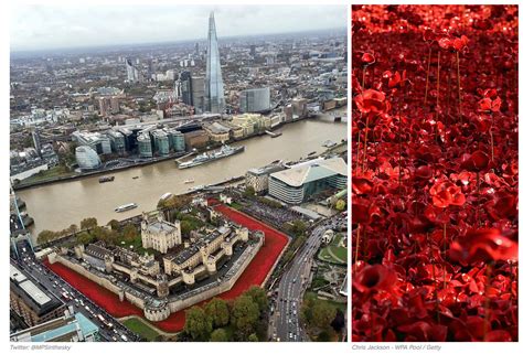 Tower Incredible Birds Eye View Of The Ceramic Poppies