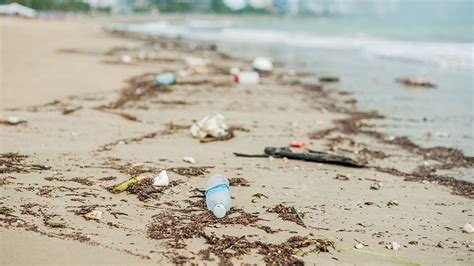 How Marine Debris Impedes Coastal Tourism And Economic