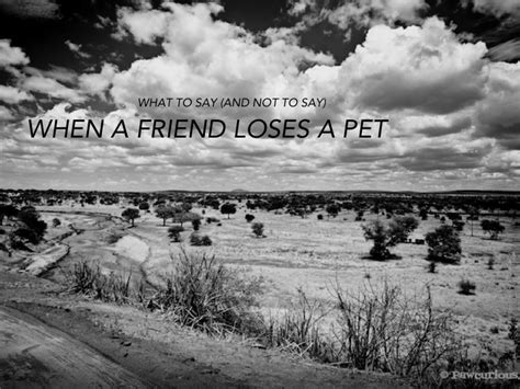 Additional ways to help someone who has lost a parent. What to Say to Someone in Mourning - Pawcurious: With ...