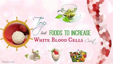 Top 10 Best Foods To Increase White Blood Cells Count