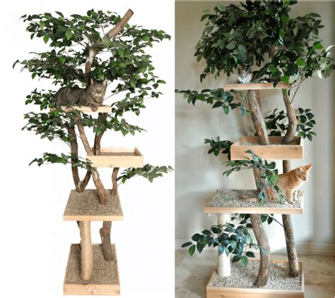 Cat Loverslearn How To Make A Diy Cat Tree Using Real Branches