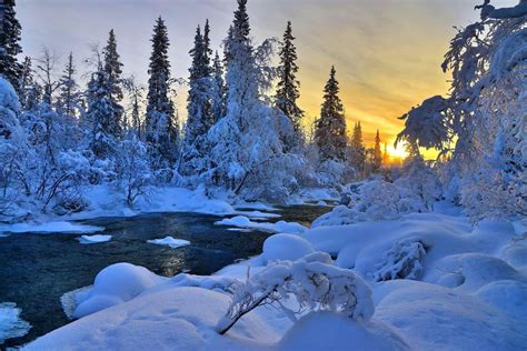 Nature Landscape Scenery Season Winter View Colors Snow Ice Clouds Sky Sunset Tree Trees River