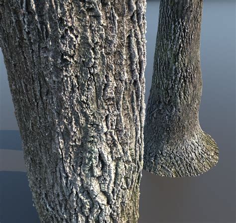 Texture Tree Bark 4k Seamless Texture Set Of 7 Wooden Materials Vr Ar