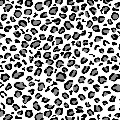 Albums 91 Background Images Black And White Leopard Print Background