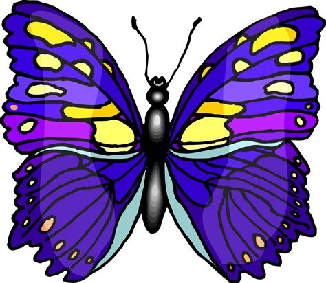 Cartoon Pictures Of Butterflies Clipart Best