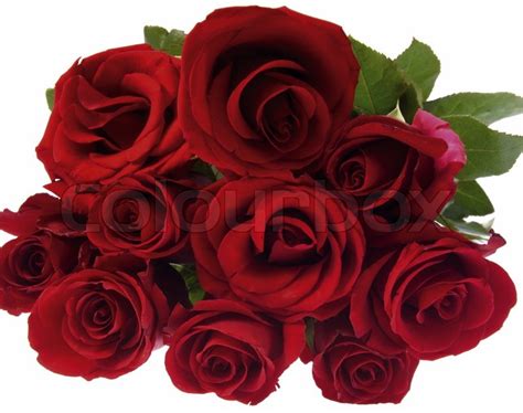 A Bunch Of Red Roses Stock Image Colourbox