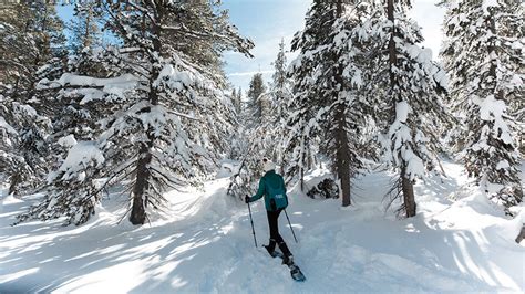 Snowshoeing Guided Trails And Tours Visit Reno Tahoe