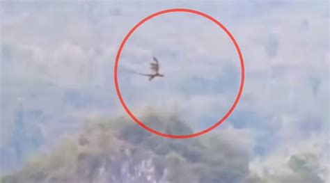Video Is That Really A Dragon Thats Been Caught On Tape In China