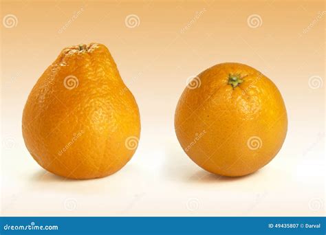 Orange Pear Stock Image Image Of Diversity Agriculture 49435807