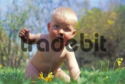 Naked Baby Boy Crawling Smiling Front View Portrait High My Xxx Hot Girl