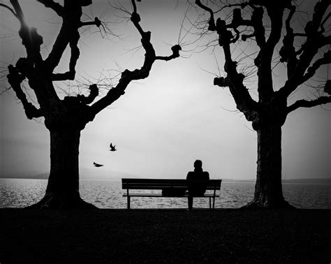 Wallpaper Loneliness Lonely Bench Silhouette Hd Widescreen High