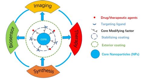 Schematic Representations Of Biomedical Applications Of Multifunctional
