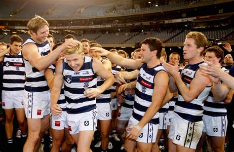 It's tempting to believe you know everything about your furry, feline friend(s). Geelong Cats - AFL National