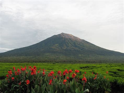 Gunung Kerinci Pesona Gunung Tertinggi Sumatera Dan Fakta Menariknya
