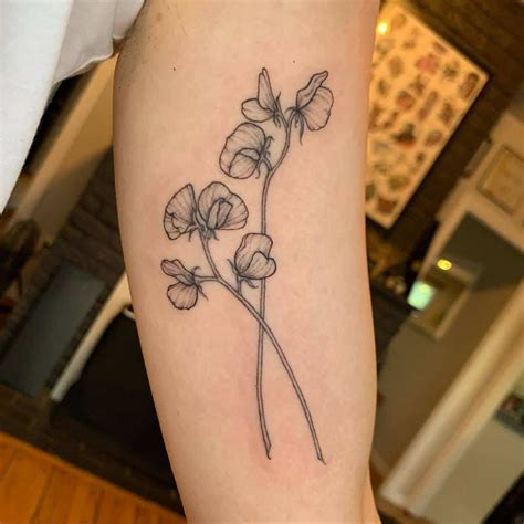 Sweet Pea Flower Tattoo Ideas Best Flower Site