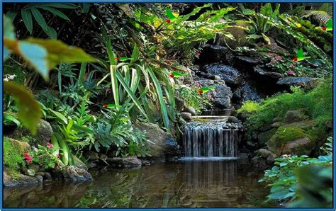 Moving Animated Screensavers Free Waterfalls Pictures For