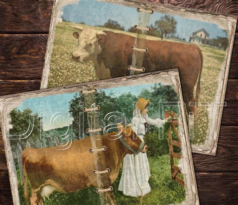 Junk Journal Cows Milkmaid Printable PDF Cow Dairy Cattle 13 Etsy