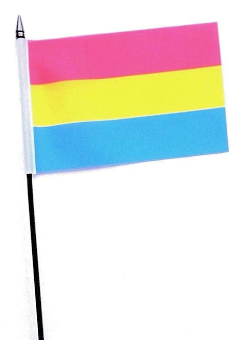 Pack Pansexual Pride Flags Lgbtq Accessory X Feet Striped Pink Yellow