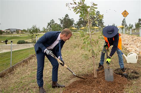 Nsw Government Invests 477m In Trees For Sydney Greening Australia