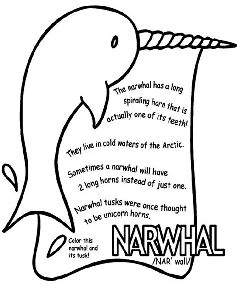 Great for preschool, kindergarten and homeschool. Narwhal coloring page | Preschool Letters M, N, and O ...