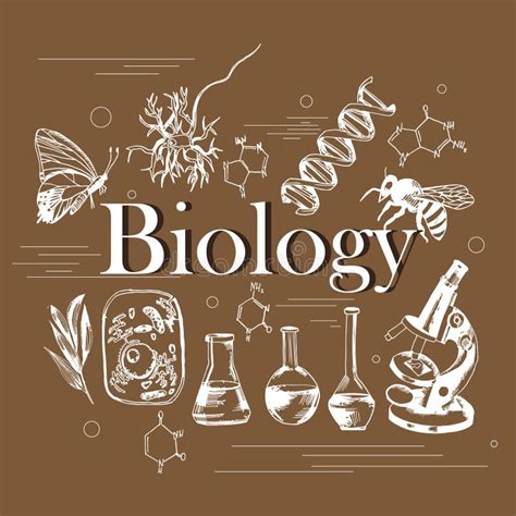 Biology Hand Drawn Doodles With Lettering Stock Vector Illustration