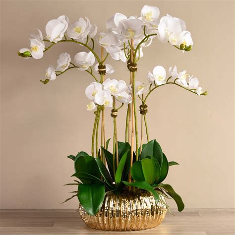 Luxury Artificial Orchid Arrangements Bloomr