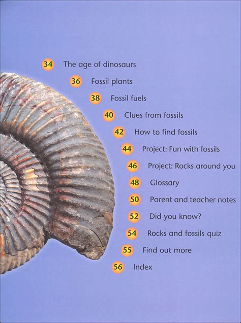 Discover Science Rocks And Fossils Kingfisher 9780753472057