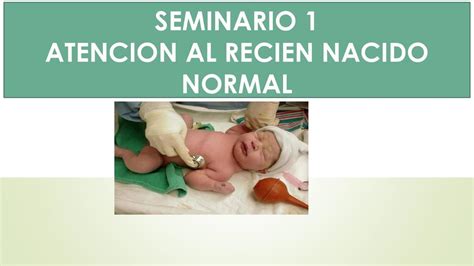 Atención Al Recién Nacido Pediatría Atencion Rn Udocz