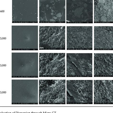 SEM Images Of The Cryo Fractured Surfaces Of The Nanocomposites