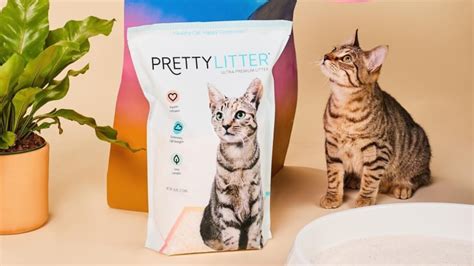 Prettylitter Review Is This Health Monitoring Cat Litter Worth The