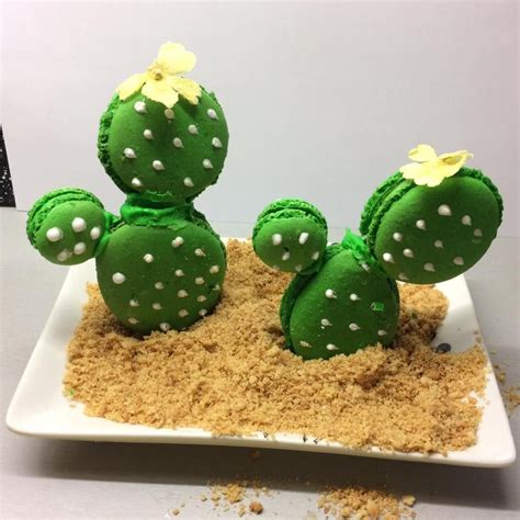 Here's everything you need to know about manuka honey, its purported health benefits, and other species of this bush grow all over the world, but do not produce the flowers bees need in order to produce manuka honey. Cacti made from macrons filled with home made prickly pear and lime curd. Sugared primrose ...