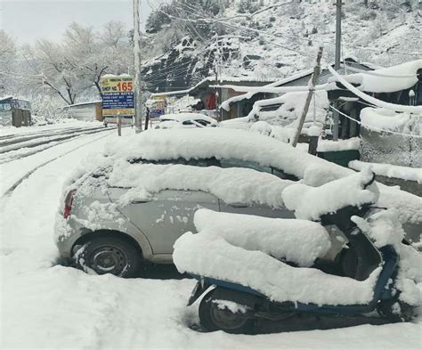 Shimla #narkanda #kufri #snowfall kufri shimla, kufri himachal pradesh, kufri snowfall today, expected snowfall in kufri 2019 In Pics: Heavy snowfall in Kufri, Kalpa, Manali accentuate ...