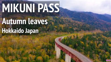 北海道 三国峠 松見大橋と紅葉 Mikuni Pass Autumn Leaves And Matsumi Bridge 北海道で最も標高