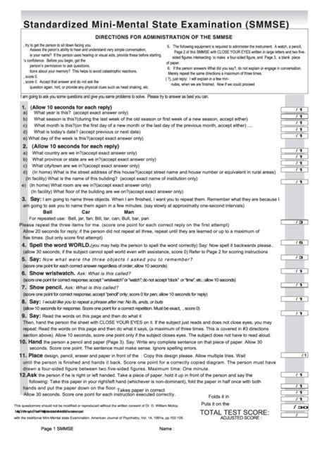 Standardized Mini Mental State Examination Form Printable Pdf Download