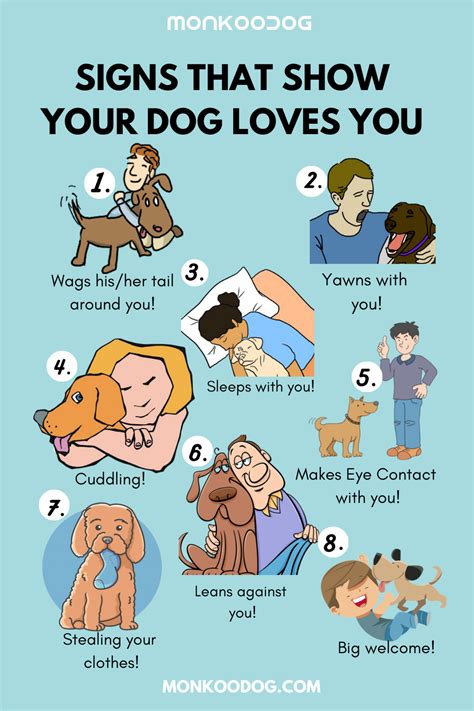 What Are The Signs That A Dog Loves You