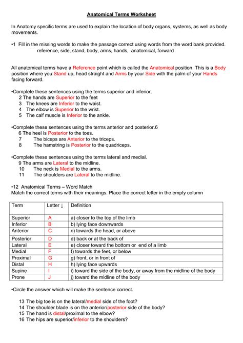 Practical 1 Worksheet Anatomical Terms