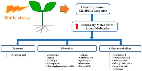 Pathogens Free Full Text Secondary Metabolites In Xylella