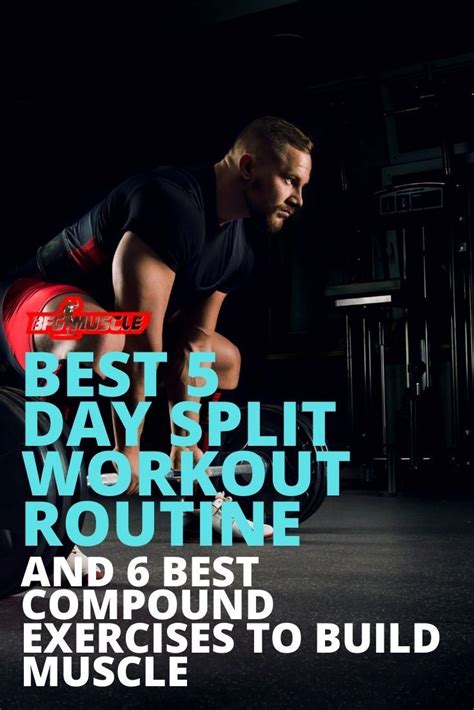 Best 5 Day Split Workout Routine And 6 Exercises To Build Muscle