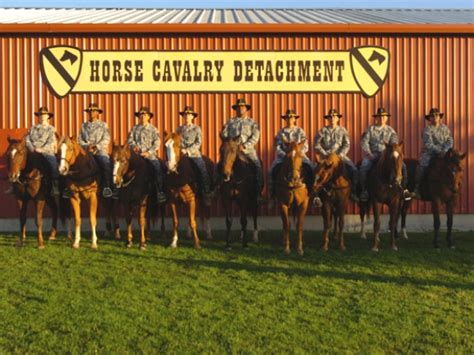 Horse Detachment Photo Of Senior Paralegal Ncos From The 1st Cavalry