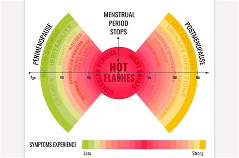 Stages Of Menopause Infographic Education Illustrations ~ Creative Market