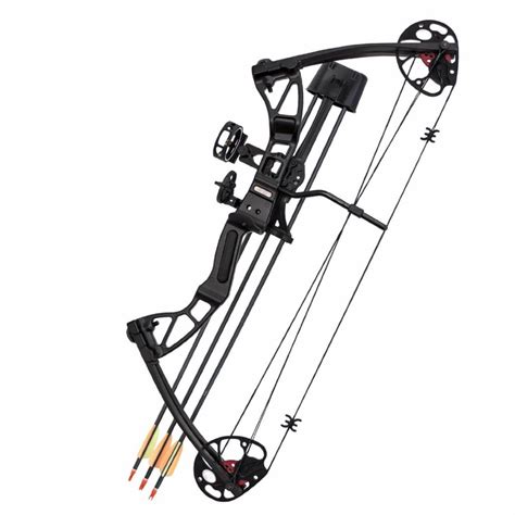 2016 Top 12 Best Compound Bow Reviews All Outdoors