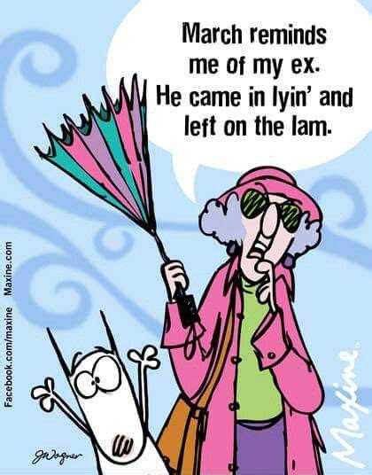 Maxine March Maxine Funny Quotes Funny Pix