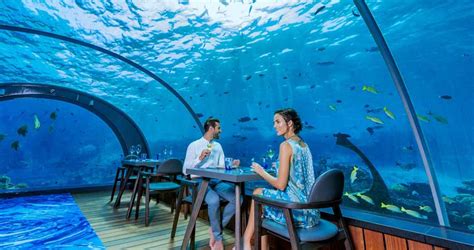 Underwater Restaurants In Maldives For Honeymoon Trip Honeymoonbug