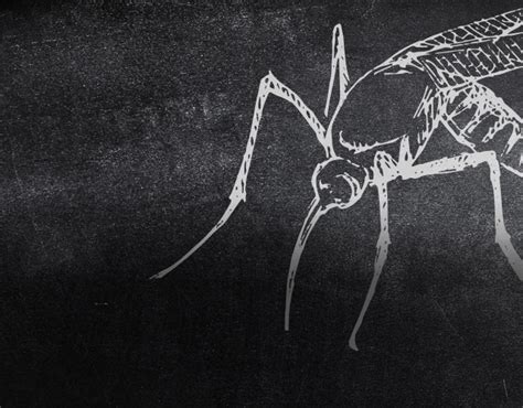 Pest control supplies & equipment pest control supplies & equipment. Blog | Clark's Termite & Pest Control | South Carolina