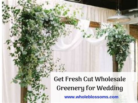Maybe you would like to learn more about one of these? Eucalyptus Flower is the best and cheap greenery for ...