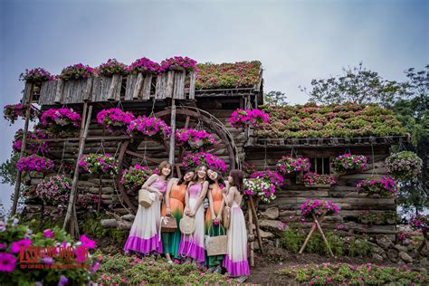 Hà Nội Ngỡ Ngàng Cánh đồng Hoa Ngọc Thảo đẹp Như Cổ Tích Đời Sống