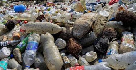 Plastic Bottle Polution Cwmaman Community Website